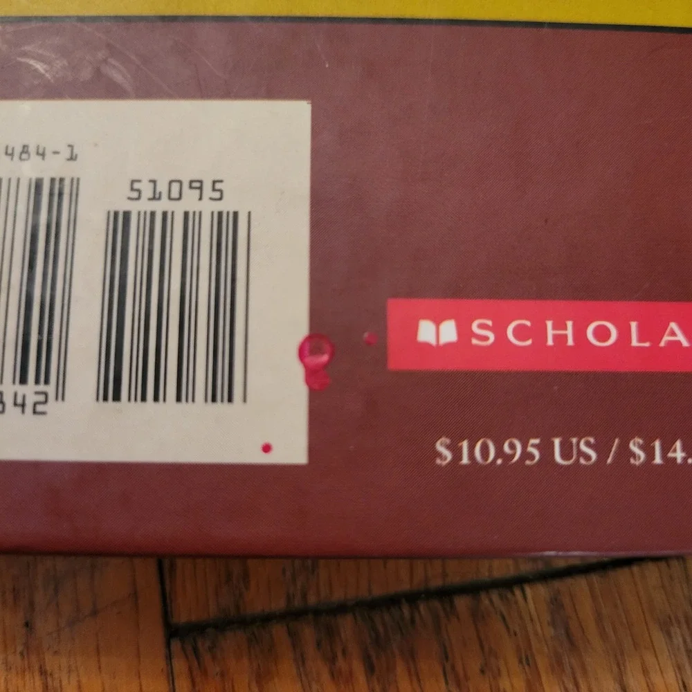 Scholastic Royal Diaries Hardcover Lot Anastasia Elizabeth I Historical Fiction
